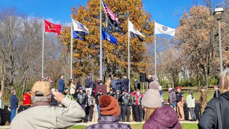 Crowd saluting flag at Veterans Day ceremony in Naperville