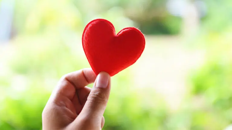 A hand holds up a red heart, a symbol of caring and giving, over a green outdoor space.