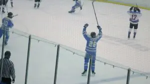 Markus Palmertz puts his hands in the air after scoring.