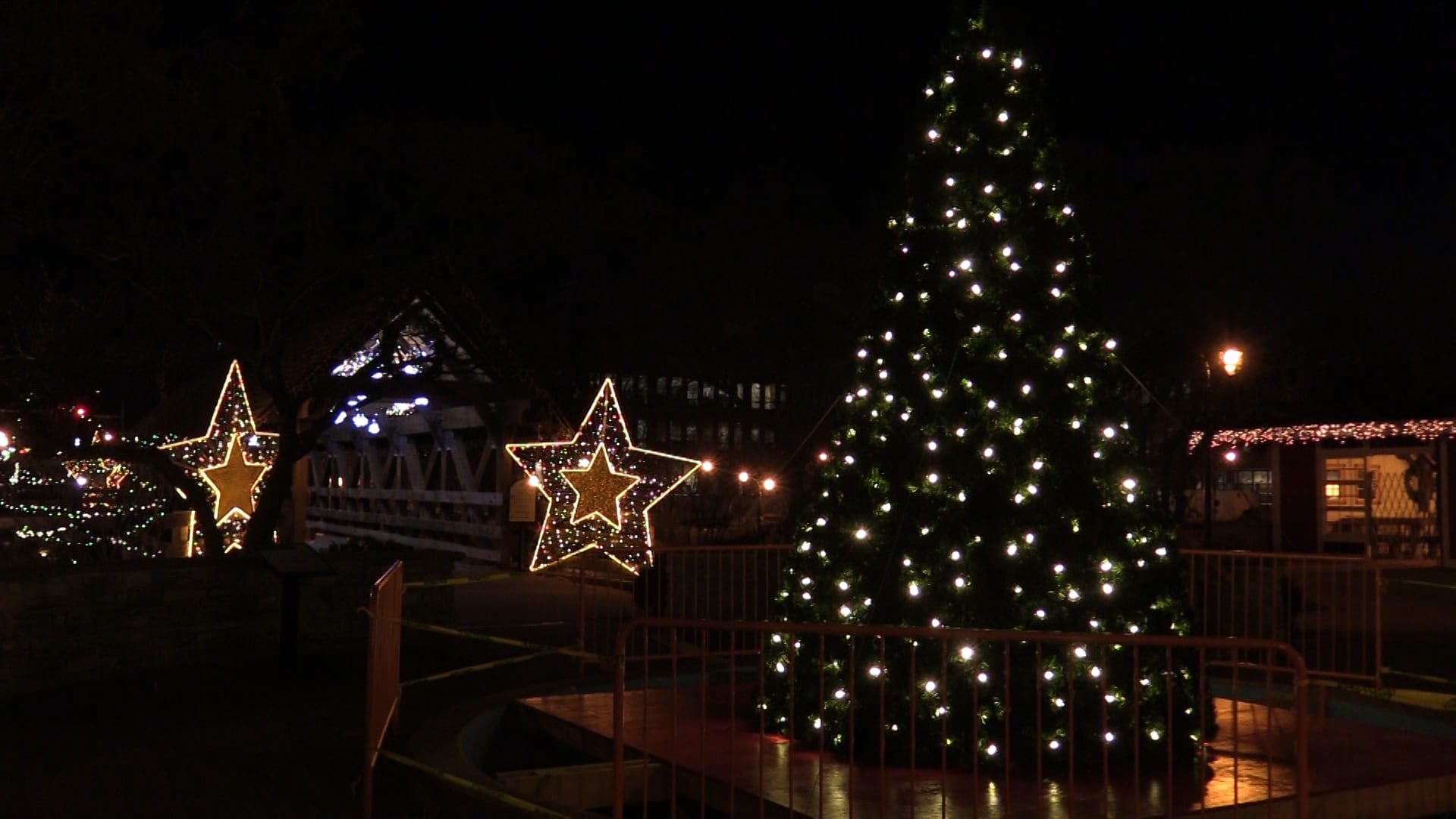 Lights Shining on Downtown Naperville’s New Tree NCTV17