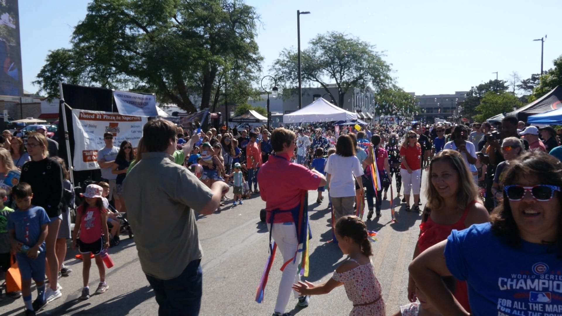 Naperville's Block Party Two Bostons Dog Walk Remembering Justin