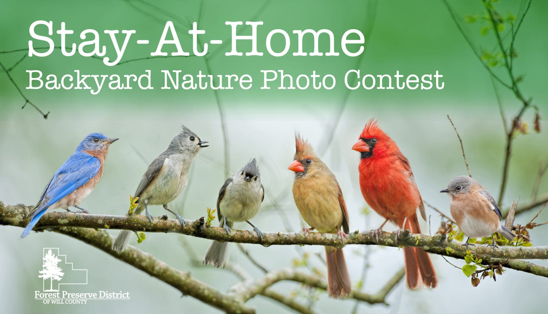 Will County Forest Preserve Holds Backyard Photo Contest 