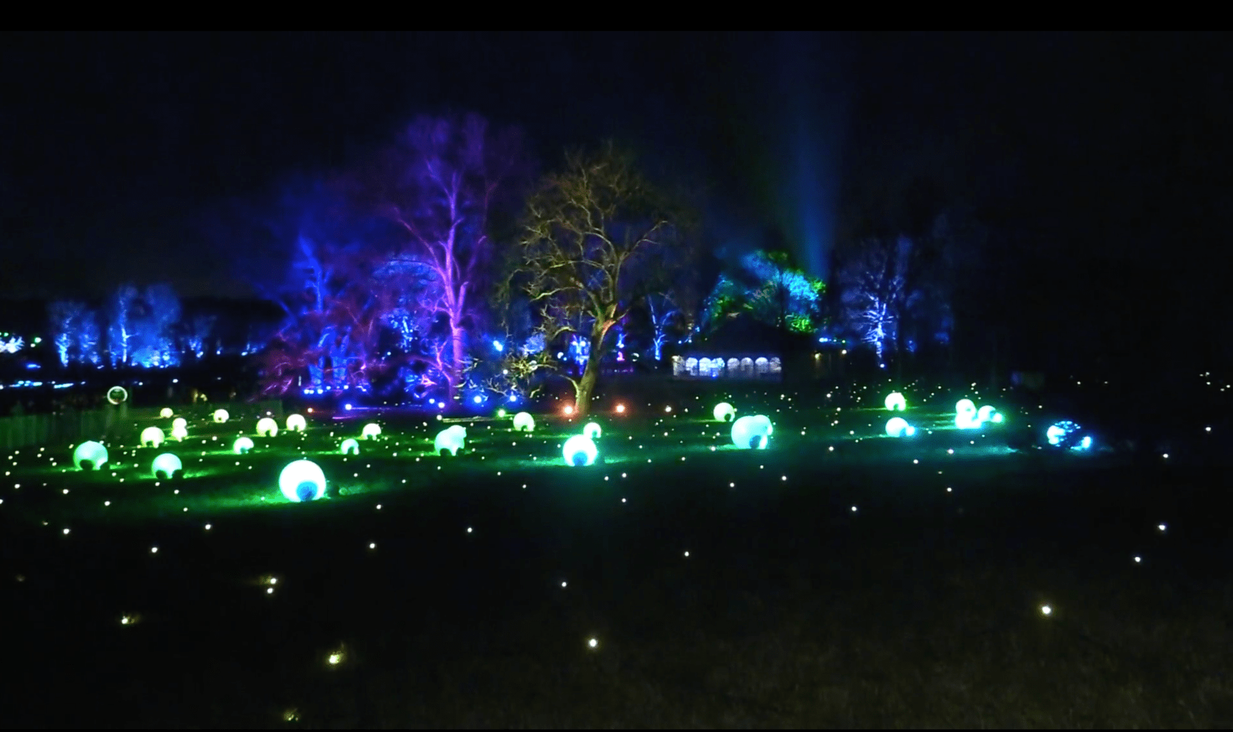 Morton Arboretum's Illumination Will Be A Driving Experience This Year