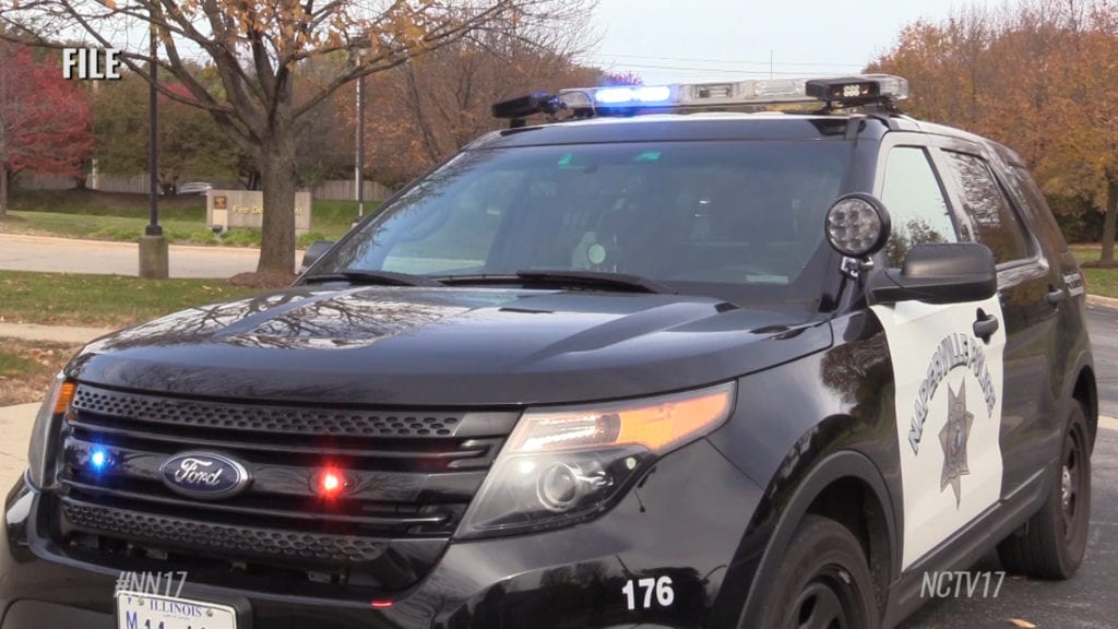 Police Car Crash in Naperville Leaves One Dead