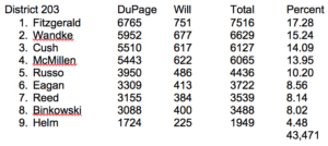 District 203 election results