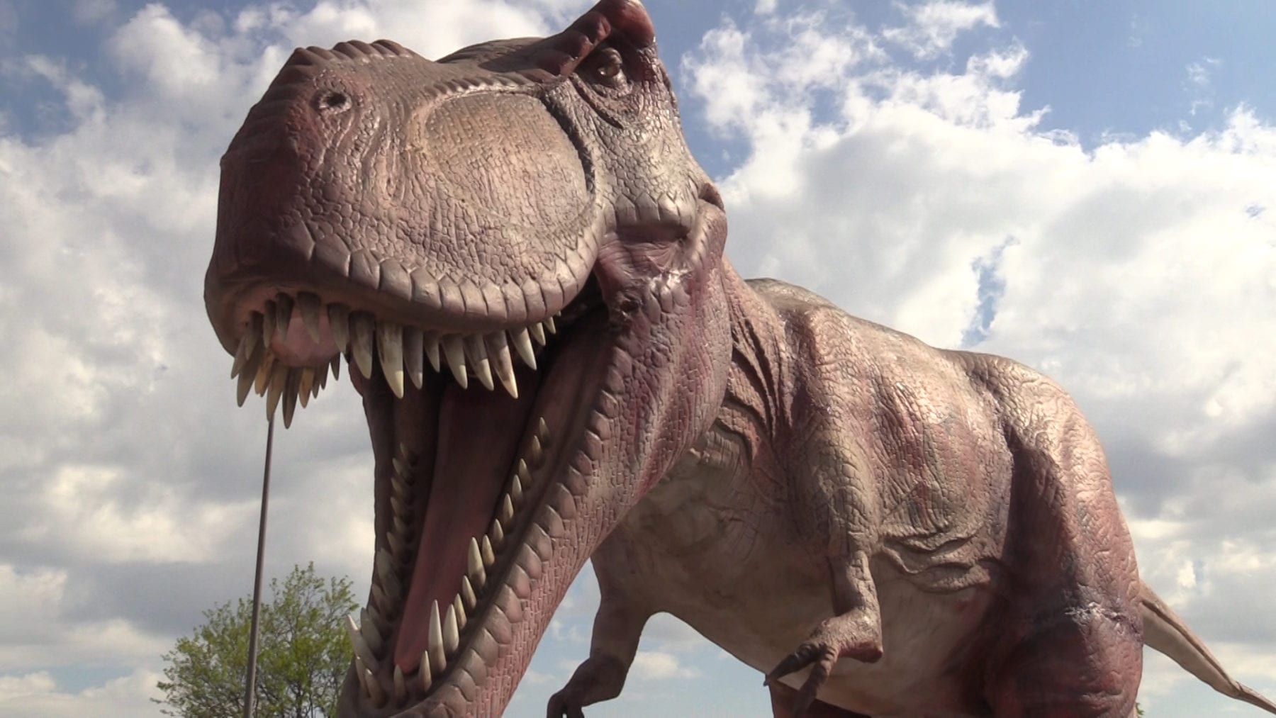 Dino Safari Takes Over Aurora’s Fox Valley Mall 