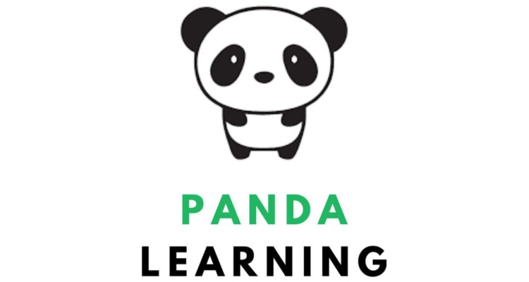 Metea Students Provide Free STEM Learning Through Panda Learning