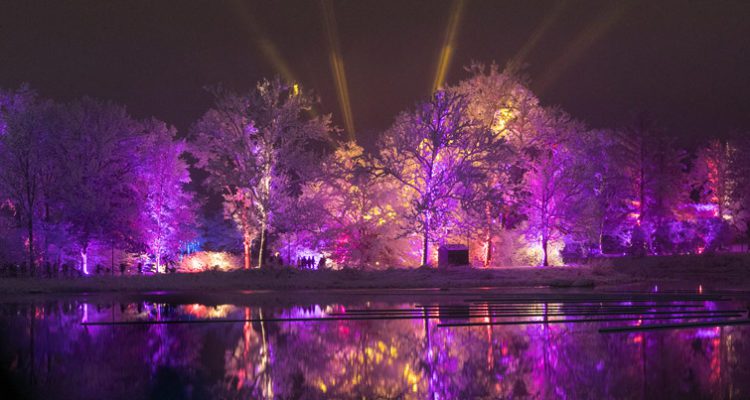 Illumination Returns To The Morton Arboretum As Walking Event