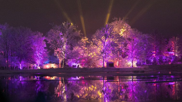 Illumination Returns To The Morton Arboretum As Walking Event