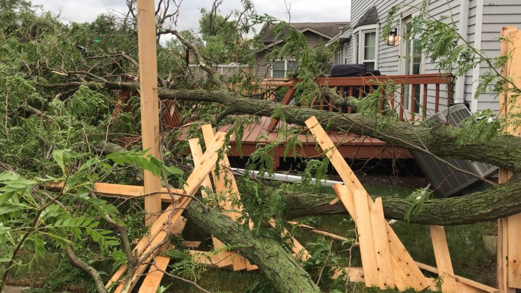 Brush Collection for Tornado Debris