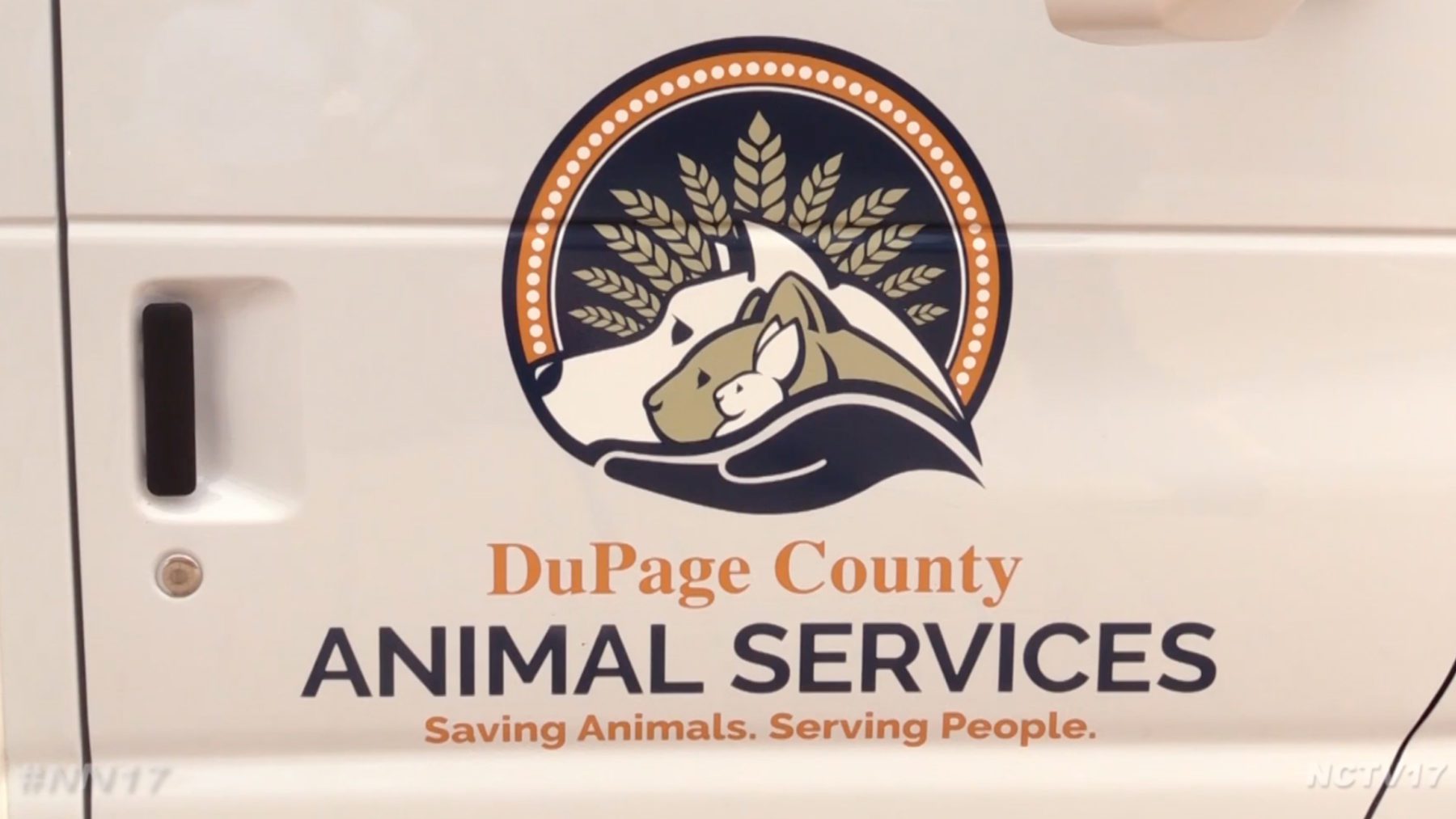 DuPage County Animal Services Holds Large Dog No-Fee Adoption Event | NCTV17