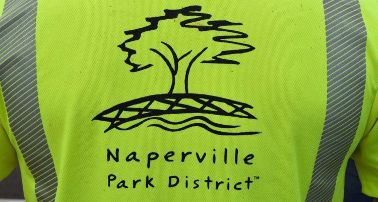 file image of Naperville Park District logo on a shirt