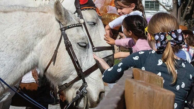 Children petting horses.