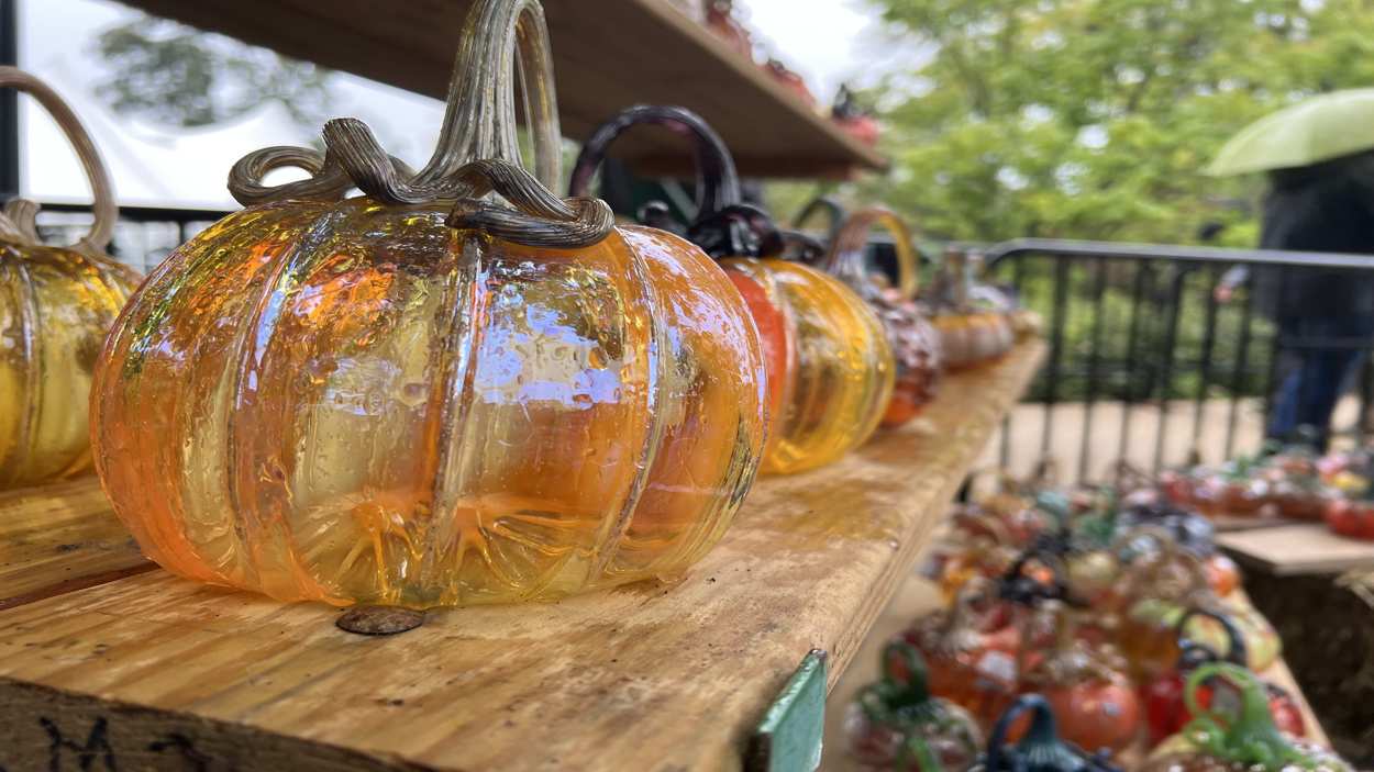 The Glass Pumpkin Patch returns to Morton Arboretum for the Fall