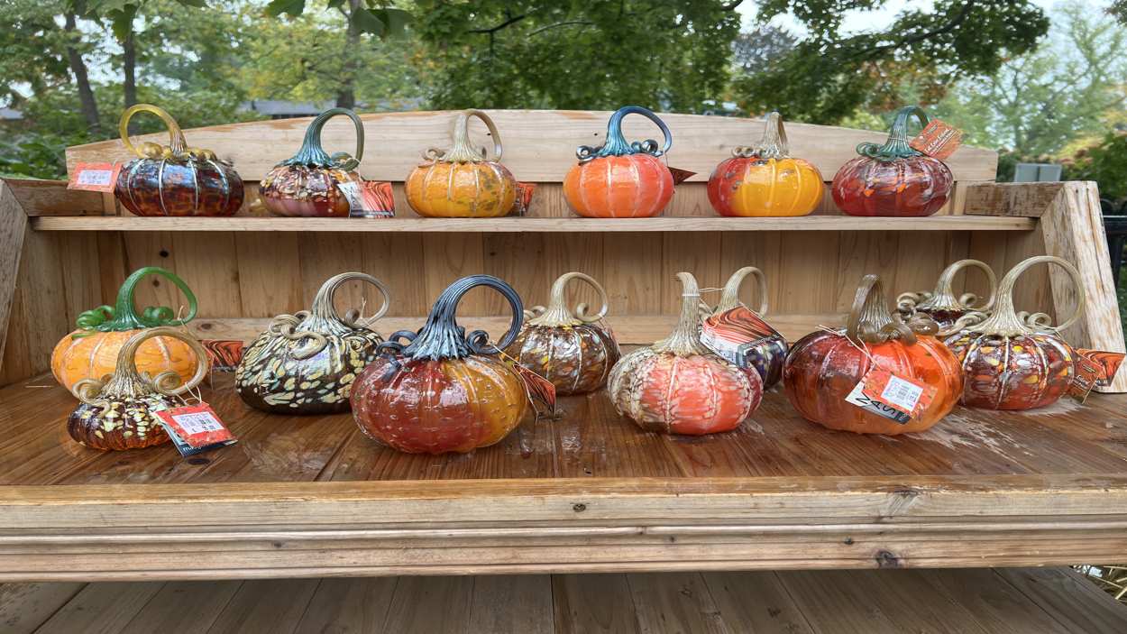 The Glass Pumpkin Patch returns to Morton Arboretum for the Fall