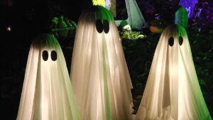 Three ghosts in Naperville yard