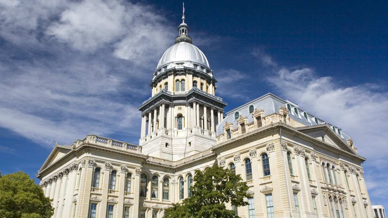 Hundreds of new laws going into effect locally, statewide in IL on Jan