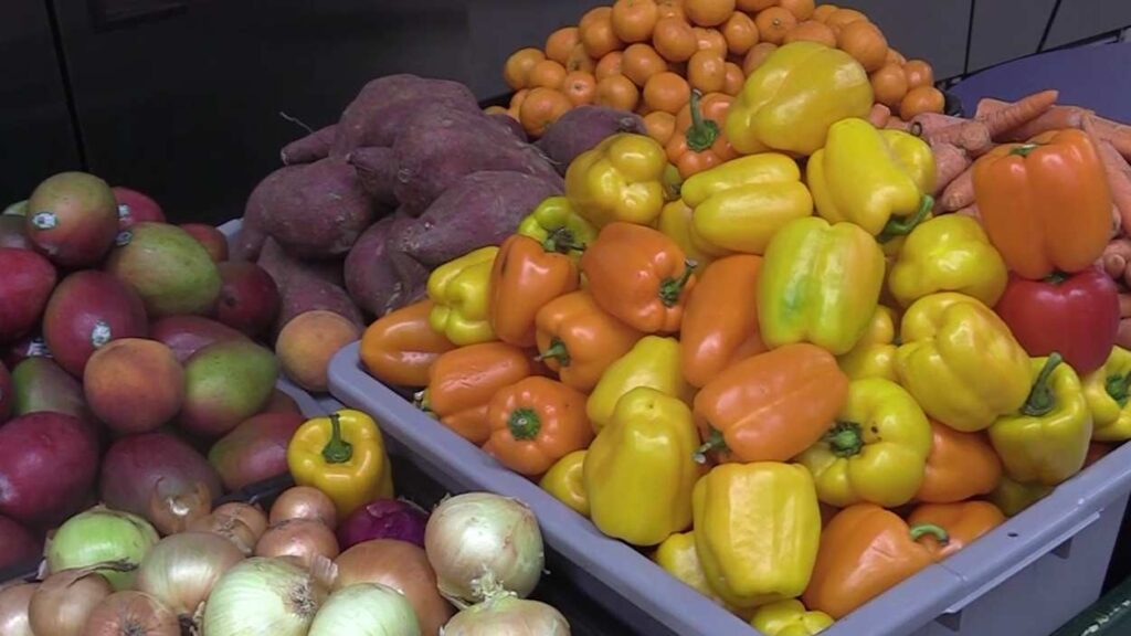 a variety of peppers and other vegetables at food pantry