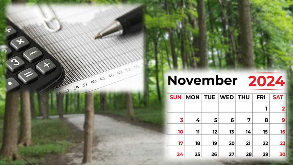 pen and calculator, plus november calendar over a forest preserve backdrop