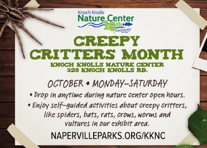 Naperville Park District Creepy Critters