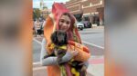 Person and dog both dressed in hot dog costumes in downtown Naperville