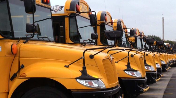 Line of school buses parked in lot